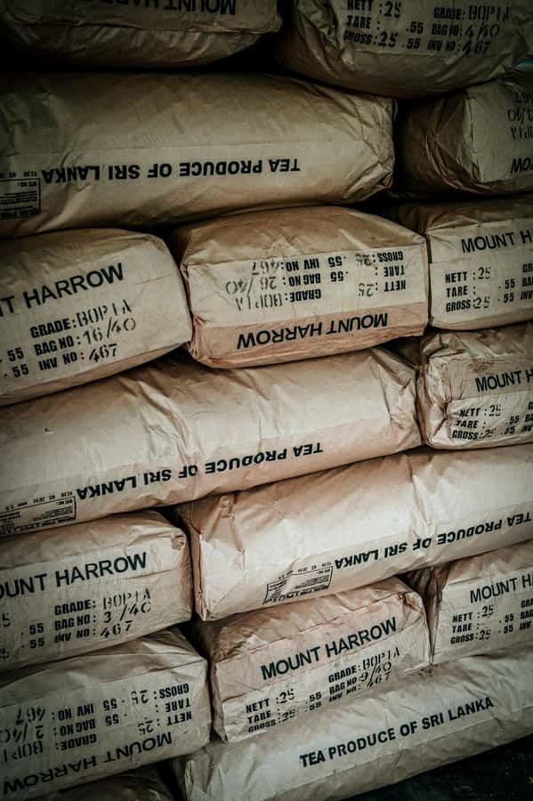 From Ella: Tea Adventure in Haputale with Village Lunch - Inside a working tea factory