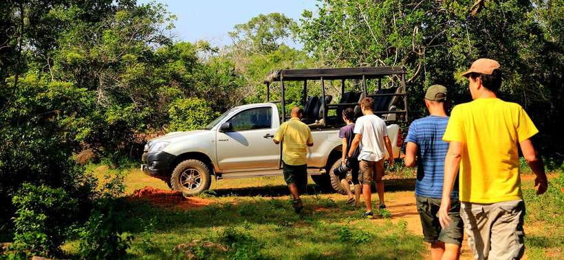 From Ella: Udawalawa Safari and Tangalle/Hiriketiya Transfer - What you might see inside Udawalawe