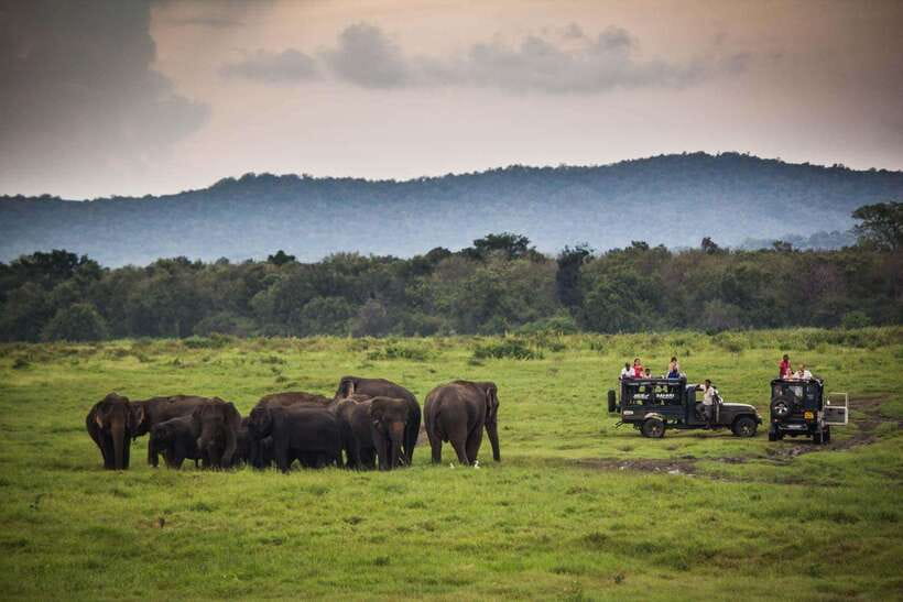 From Ella: Udawalawa Safari and Tangalle/Hiriketiya Transfer - Is $48 good value?