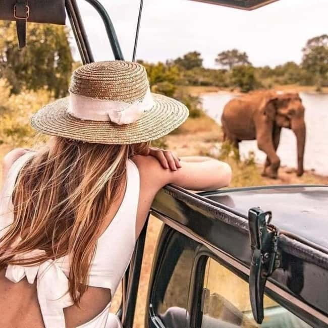 From Ella: Udawalawa Safari Drop: Galle / Mirissa / Tangalle - Booking flexibility and important limits