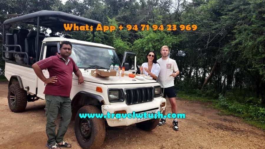 From Ella: Udawalawe National Park safari drop to Ella again - Private seating and the value of the jeep