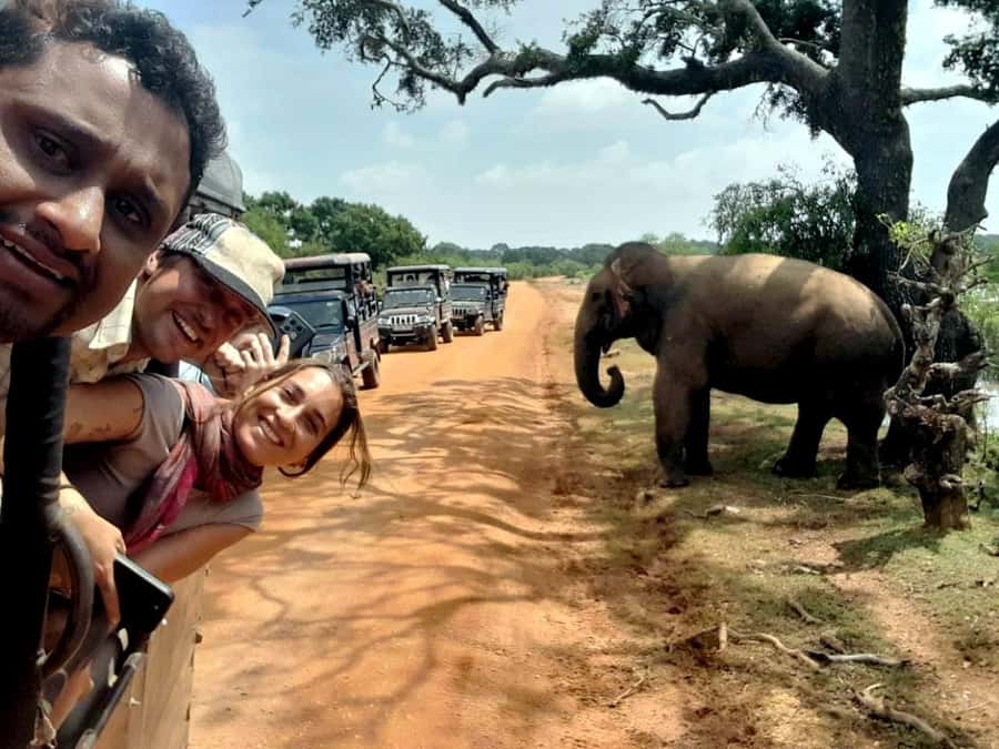 From Ella: Udawalawe National Park safari drop to Ella again - Optional food and onward drops