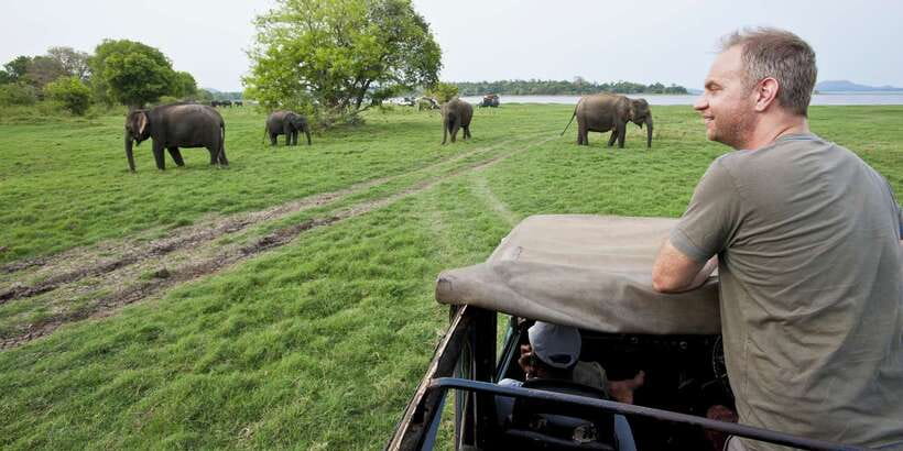 From Ella: Udawalawe Safari with Elephant Transit Home - Key points to know before booking