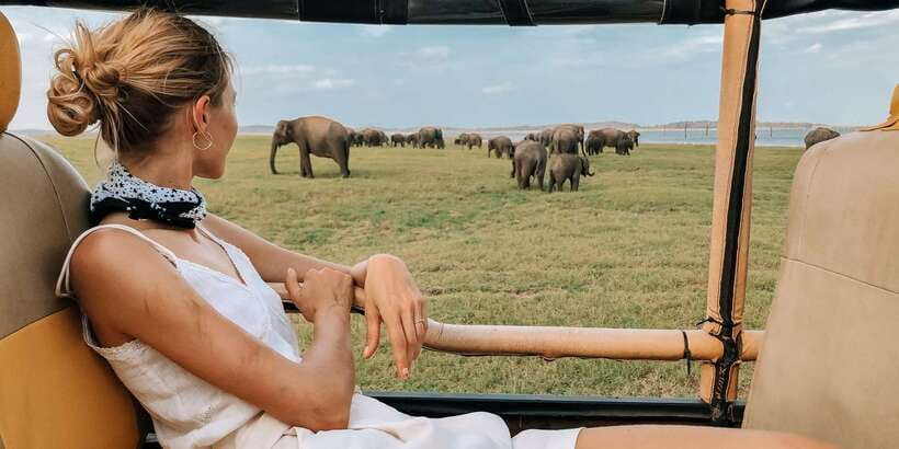 From Ella: Udawalawe Safari with Elephant Transit Home Visit - The Two-Hour Ride From Ella