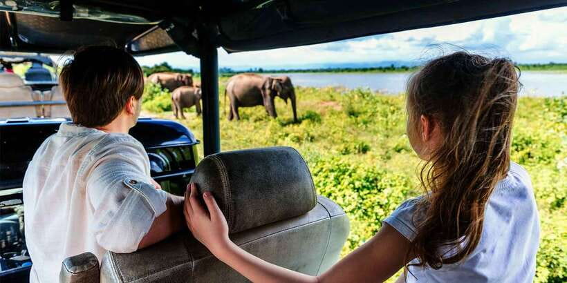 From Ella: Udawalawe Safari with Elephant Transit Home Visit - Inside Udawalawe National Park by Jeep