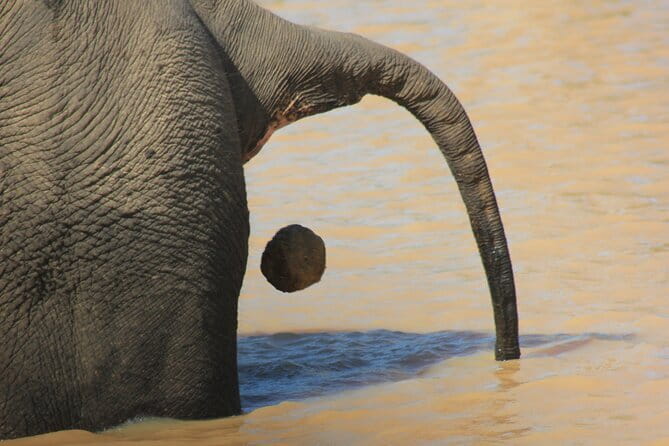 From: Ella - YALA Safari - Drop off: Arugam Bay / Arugambay - Key points at a glance