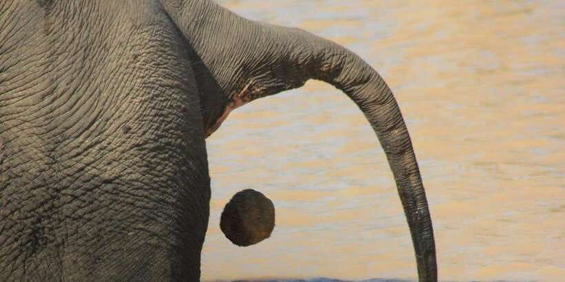 From: Ella - YALA Safari - Drop off: Arugam Bay / Arugambay - The good and the difficult parts