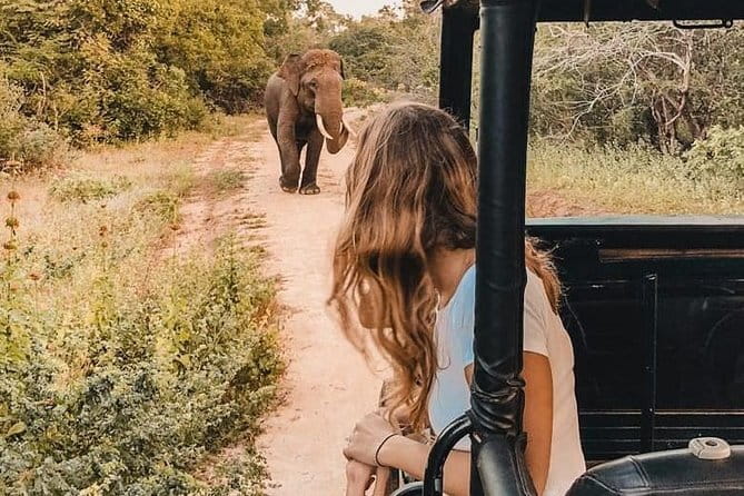 From: Ella - YALA Safari - Drop off: Arugam Bay / Arugambay - Leaving Yala and crossing toward Arugam Bay