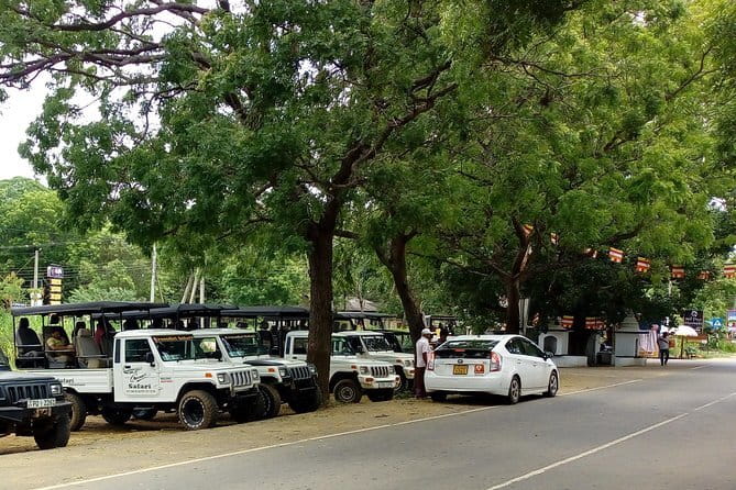 From: Ella - YALA Safari - Drop off: Arugam Bay / Arugambay - What the $118 price really covers