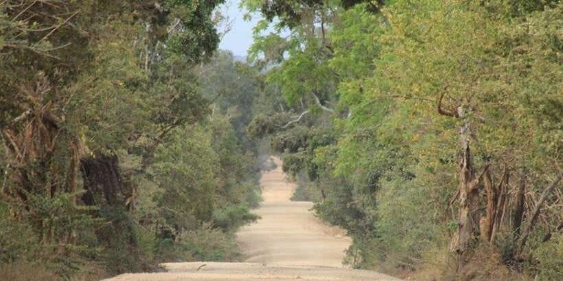 From: Ella - YALA Safari - Drop off: Arugam Bay / Arugambay - What the $110 price really covers