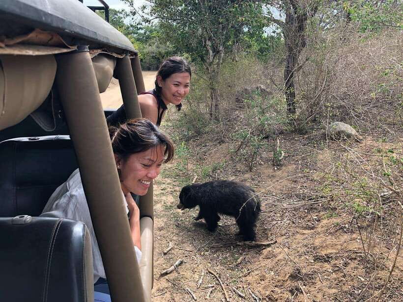 From Ella: Yala Safari Tour with Drop at Tangalle/Hiriketiya - Key points to know before booking