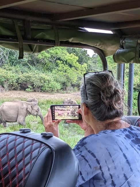 From Ella: Yala Safari & Transfer to Tangalle/Mirissa/Galle - Who should book this?