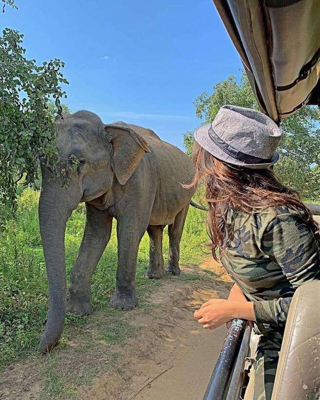 From Ella: Yala Safari with Tangalle/Mirissa/Galle Drop-off - Arriving at Yala National Park