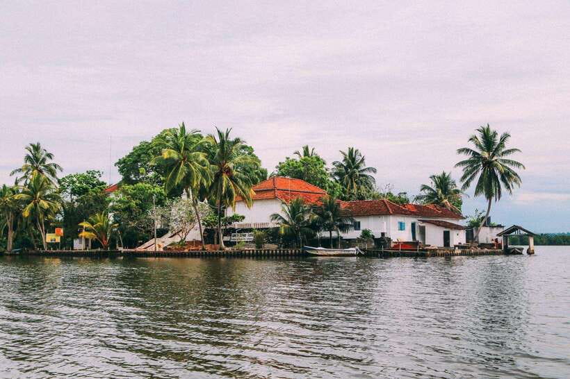 From Galle: Exclusive Madu River Safari & Turtle Hatchery - Cinnamon Island and the working river