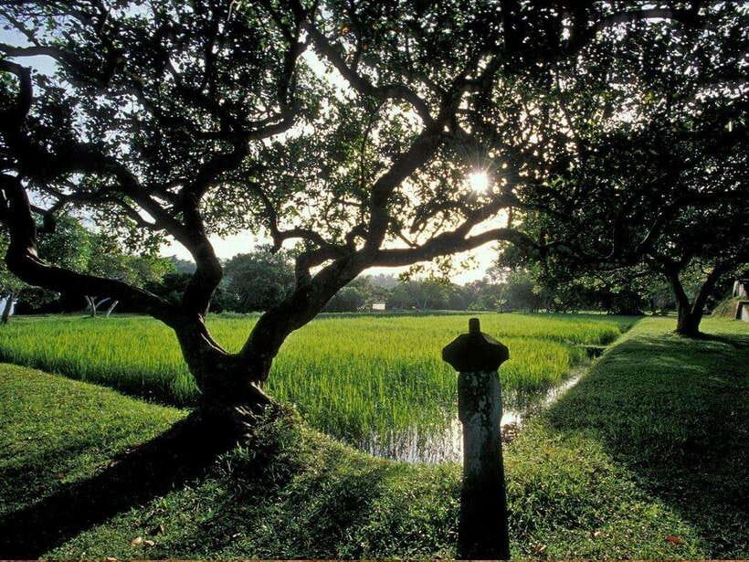 From Galle/Hikkaduwa: Discover Lunuganga & Brief Garden - The return journey and the real value of the price