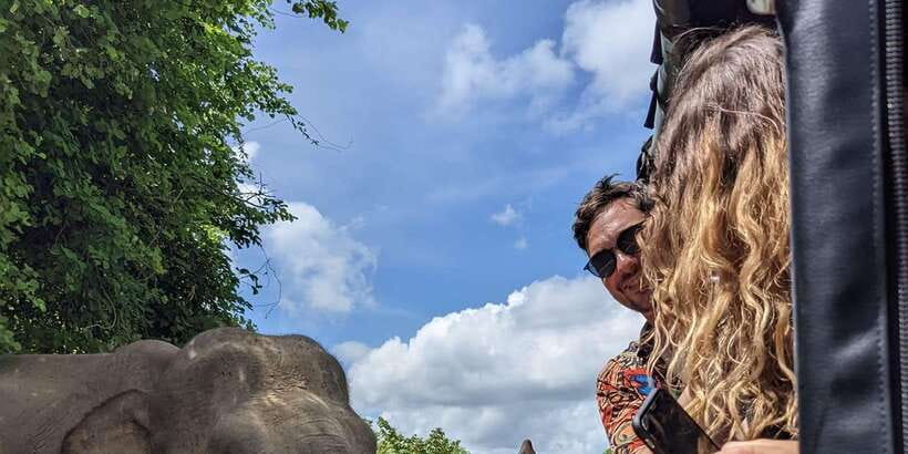 From Galle/Hikkaduwa/Mirissa Trip to Udawalawe Safari Tour - Who will get the most from this trip?