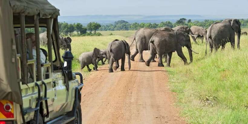 From Galle/Mirissa/Hikkaduwa- Udawalawe National Park Safari - Who will get the most from this safari