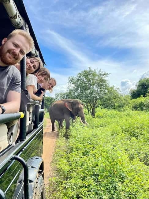 From Galle/ Mirissa/ Tangalle : Udawalawa Safari & Drop Ella - Key points to know before booking