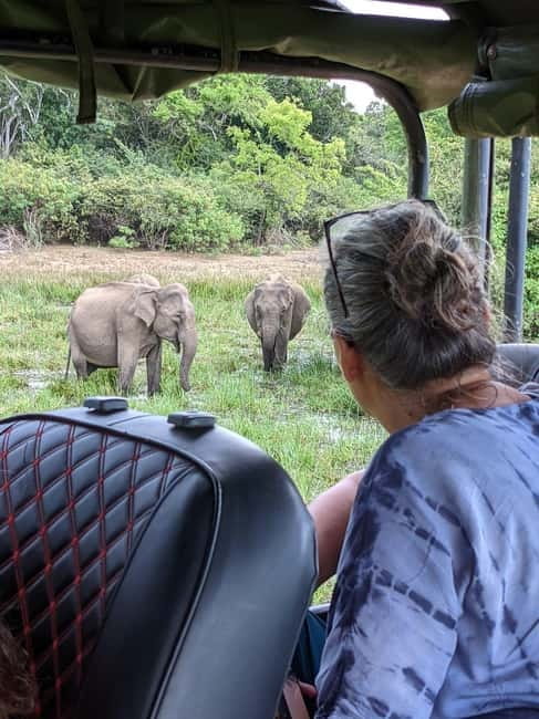 From Galle/ Mirissa/ Tangalle : Udawalawa Safari & Drop Ella - Who will enjoy this experience most