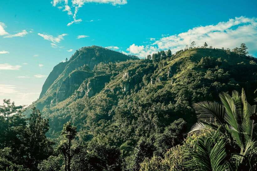 From Galle/Weligama/Mirissa: Day Trip to Ella Highlands - Key points to know before booking