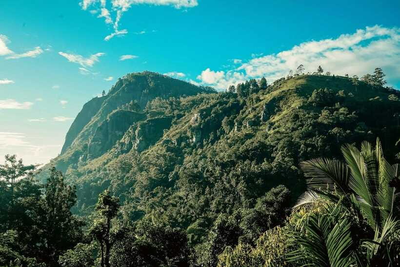 From Galle/Weligama/Mirissa: Day Trip to Ella Highlands - The guide-driver can make or break the day
