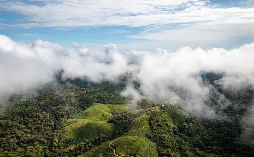 From Galle/Weligama/Mirissa/Matara: Day Trip to Sinharaja - What you might see on the trail