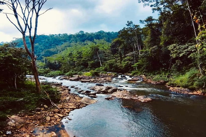From Galle/Weligama/Mirissa/Matara: Day Trip to Sinharaja - Who should book this rainforest day
