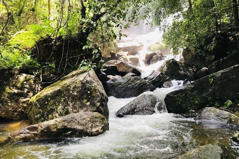 From Galle/Weligama/Mirissa/Matara: Day Trip to Sinharaja - Entering the Sinharaja Forest Reserve