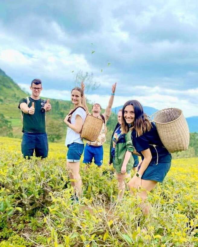 From Hikkaduwa/Galle/Mirissa : Waterfall & Tea Factory Tour - Why this 12-hour route is worth considering