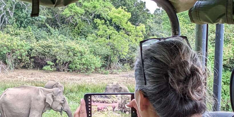From Hikkaduwa/ Galle/ Mirissa - Yala National Park Safari - Why this Yala safari is worth considering