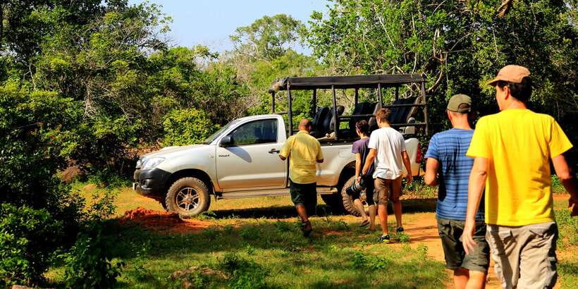 From Hikkaduwa: Udawalawe National Park Safari Tour - Why Udawalawe works so well for elephant watching