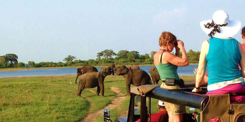 From Hikkaduwa: Udawalawe National Park Safari Tour - Entering Udawalawe National Park by safari jeep