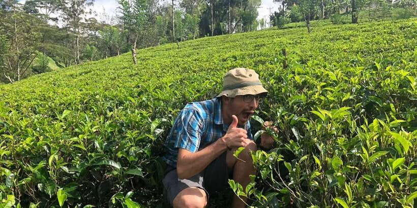 From Kalutara: Handungoda, Galle, and Kosgoda - Key Points At A Glance