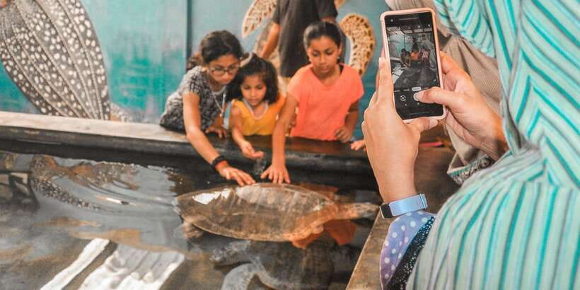 From Kalutara: Handungoda, Galle, and Kosgoda - Handunugoda Tea Factory And The Story Of White Tea
