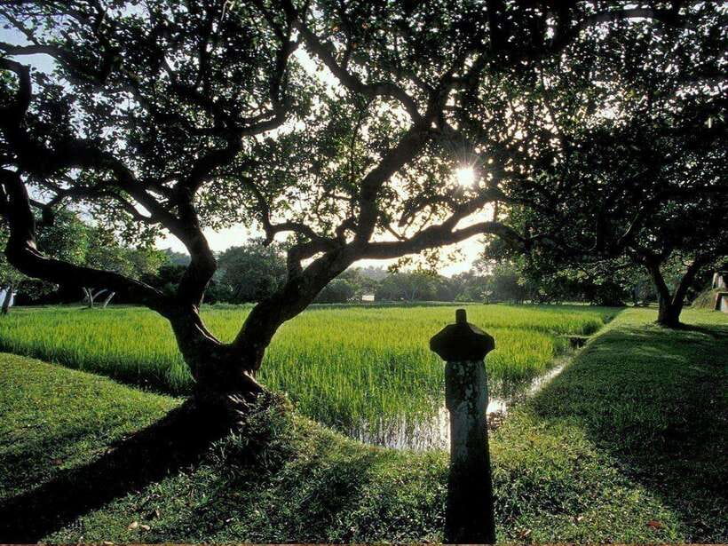 From Kalutara/Waskaduwa: Lunuganga & Brief Garden Tour - 9:00 at Brief Garden, Bevis Bawa’s tropical retreat