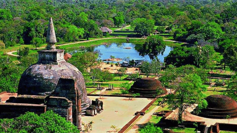 From Kandy: Anuradhapura Day Trip with Lunch - Sri Maha Bodhi Tree, where the ancient city still worships