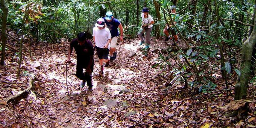 From Kandy: Bird watching tour to Udawatte Kele Sanctuary - Key points to know before booking