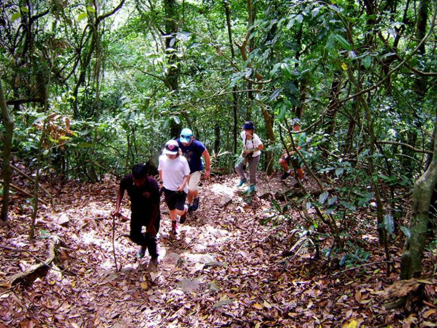 From Kandy: Bird watching tour to Udawatte Kele Sanctuary - The best type of visitor for this tour