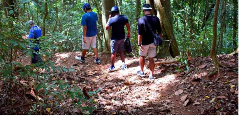 From Kandy: Bird watching tour to Udawatte Kele Sanctuary - The 6 a.m. tuk-tuk pickup and what it means