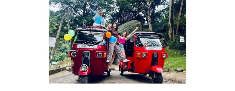 From Kandy: Dambulla to Sigiriya Day Tours - Minneriya National Park and the safari question