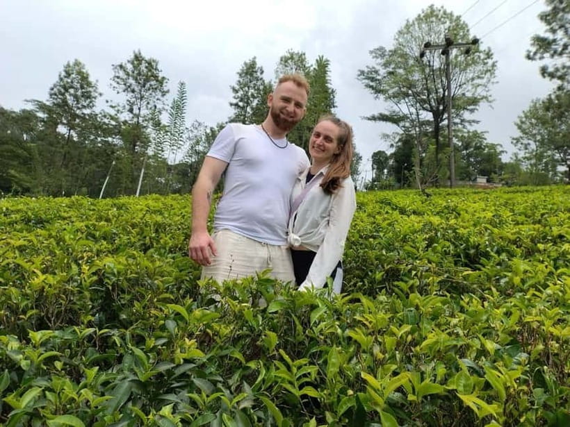 From Kandy: Ella Drop Tour via Nuwara Eliya - Ramboda viewpoint and Ramboda Falls