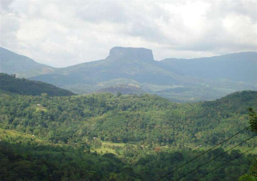 From Kandy: Kandy To Pinnawala Day Tour by Tuk Tuk - Temple of the Sacred Tooth Relic
