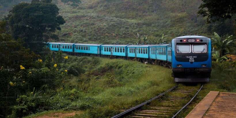 From Kandy: Nuwara Eliya by Train - Why the Kandy to Nanuoya train ride matters