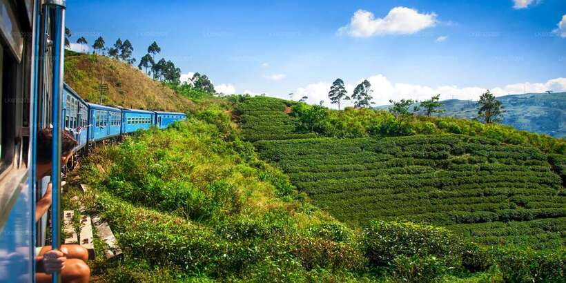 From Kandy: Nuwara Eliya by Train - Lake Gregory and the short town visit