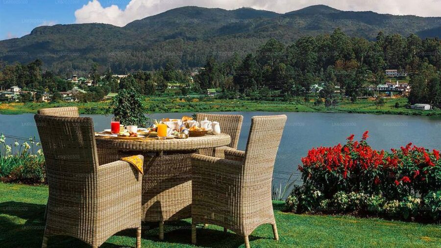 From Kandy: Nuwara Eliya by Train - What $80 per person really buys you