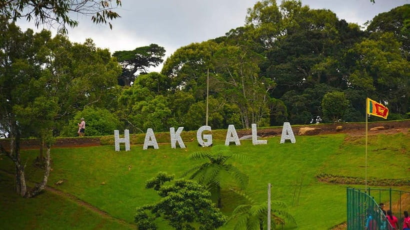From Kandy: Nuwara Eliya Tour via Ambuluwawa [Private Tour] - Arriving in cool, colonial Nuwara Eliya