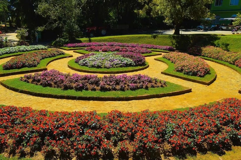 From Kandy: Nuwara Eliya Tour via Ambuluwawa [Private Tour] - Who will enjoy this day most?