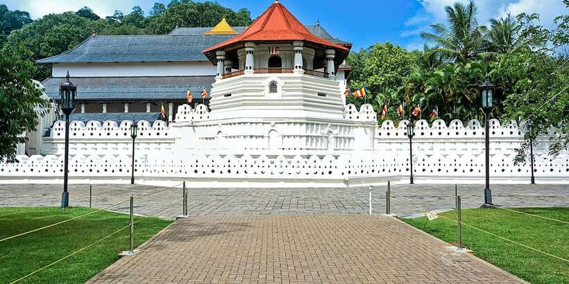 From Kandy: Pinnawala Day Tour - Meeting the elephants at Pinnawala