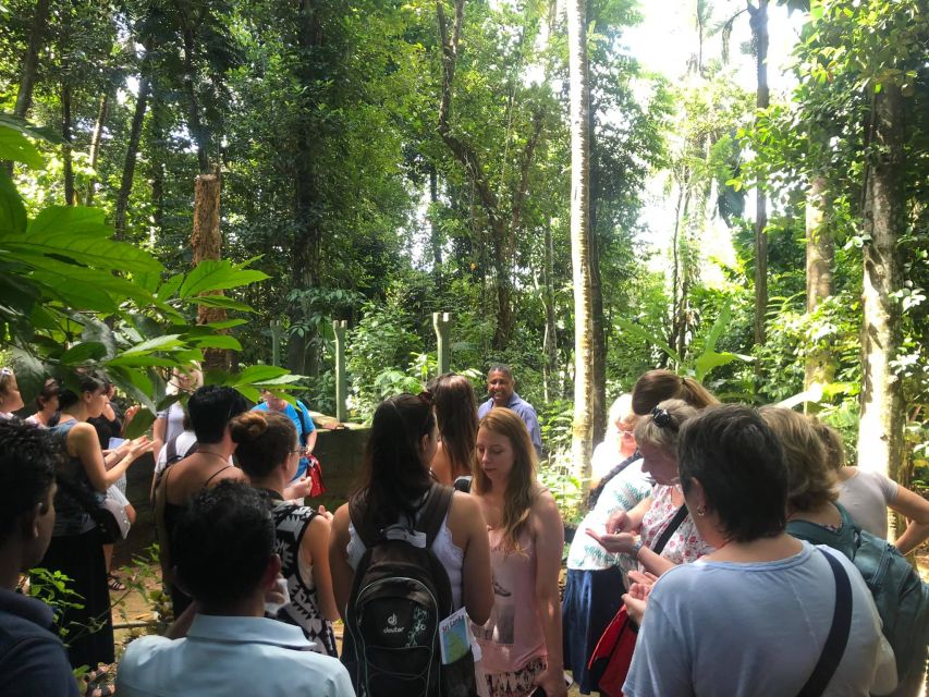 From Kandy: Pinnawala Day Tour - Peradeniya Royal Botanical Garden