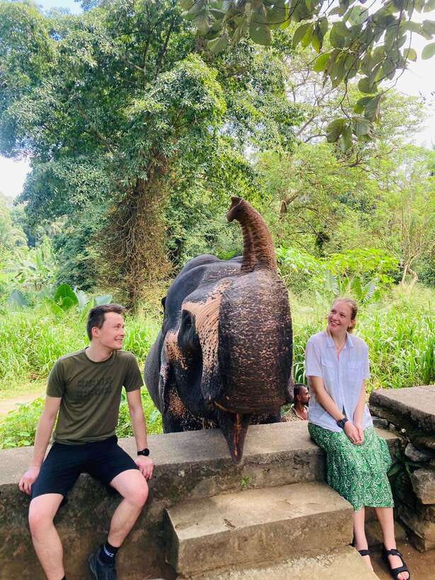 From Kandy : Pinnawala Elephant Orphanage & Ambuluwawa Tower - Key things to know before booking